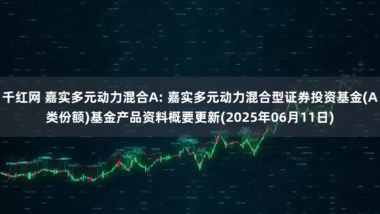 千红网 嘉实多元动力混合A: 嘉实多元动力混合型证券投资基金(A类份额)基金产品资料概要更新(2025年06月11日)